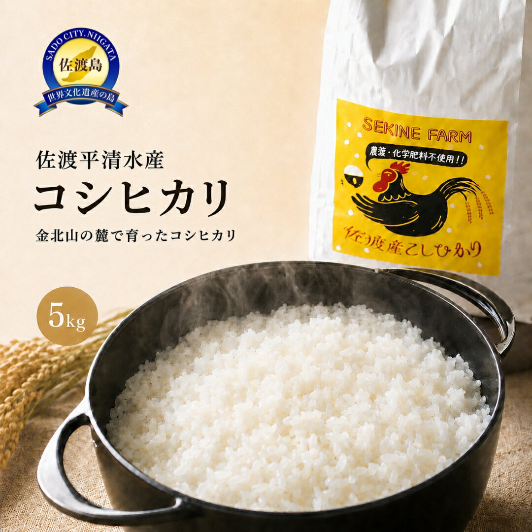 【ふるさと納税】米 コシヒカリ 5kg 令和7年産 農薬化学肥料不使用 佐渡平清水産 精米 白米 注文後精米 金北山の麓 せきね農園 こしひかり ごはん おにぎり 新潟県 佐渡市