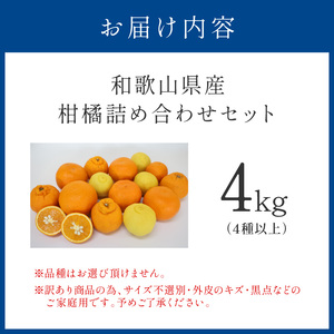 柑橘詰め合わせセット 家庭用４種以上 約4kg 和歌山産≪先行予約2027年1月下旬頃より順次発送分≫【1199-1】