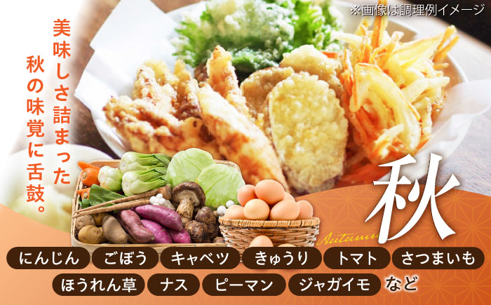 【全3回定期便】【数量限定】新鮮たまごと旬の野菜セット(野菜7~8品程度＋40個) / たまご 生卵 タマゴ 詰合せ セット 熊本県 特産品【有限会社さんふれあ】 [BHAK009]