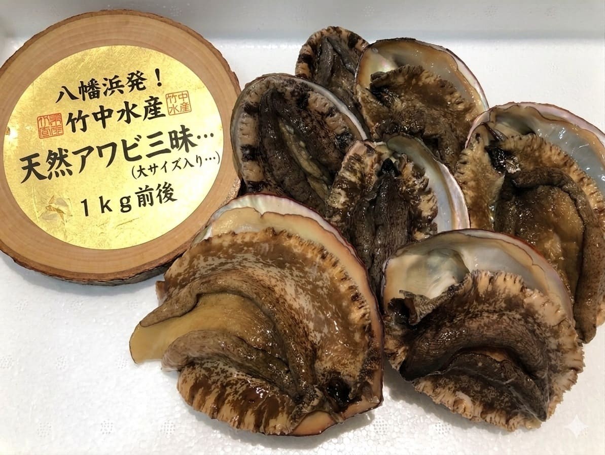 
                  H22-202.竹中水産の八幡浜発！「天然アワビ三昧（大サイズ入り！）・1kg前後」
                