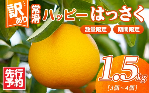【先行予約】【訳あり】常滑ハッピーはっさく 1.5kg （3～4個）｜ 果物 フルーツ 柑橘 八朔 ハッサク みかん 訳あり ご家庭用 数量限定 愛知県 常滑市 知多半島