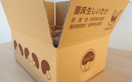 【平日お届け】しいたけ 菌床生しいたけ１kg