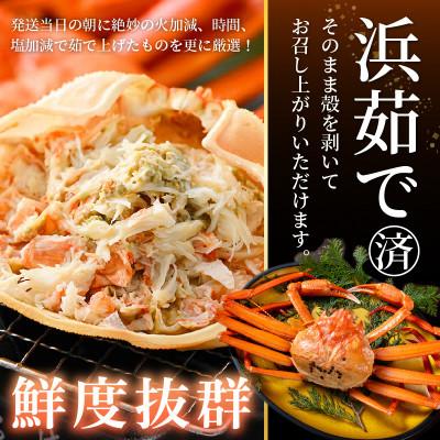 ふるさと納税 越前町 ≪浜茹で≫越前産 紅ずわいがに × 2杯【3月発送分】 |  | 01