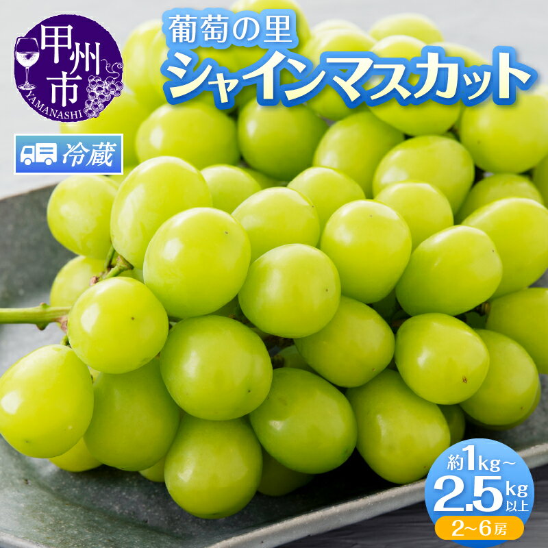 【ふるさと納税】 シャインマスカット 2026年 先行予約 選べる内容量 1kg以上 2.5kg以上 2～6房 8月 9月 10月 発送 ぶどう 葡萄 ブドウ 果物 くだもの フルーツ 農家直送 朝採れ 山梨県 数量限定 人気 種無し 山梨 産地直送 農家 果実 贈答 ギフト 家庭用 （HK）