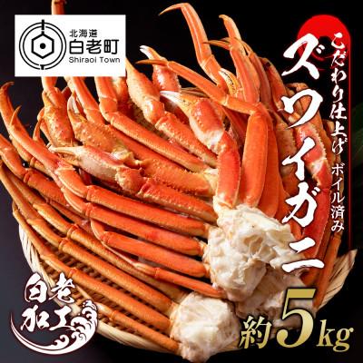 ふるさと納税 白老町 訳あり　ズワイガニ 脚 ボイル済み 冷凍 甲羅無し 約5kg BM021
