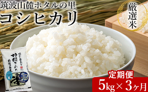 【先行予約】【定期便 3ヶ月】令和8年産 筑波山麓ホタルの里厳選米コシヒカリ5kg 透き通った大粒米 ※2026年11月～発送