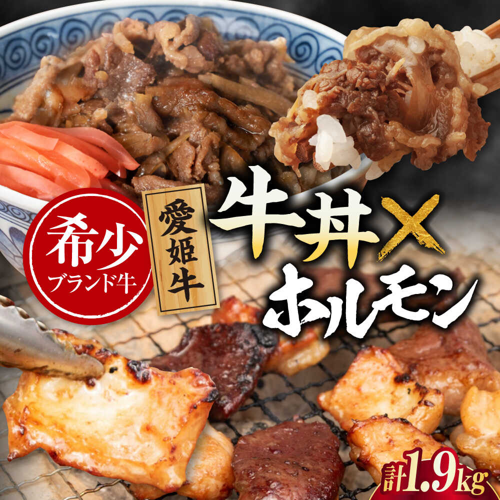 【ふるさと納税】 牛肉 【冷凍】　愛姫牛 肉屋のこだわりお惣菜セット 牛丼×6食とミックスホルモン×1,000g 計1,9kg 大洲市/木村屋精肉店 [AGCC073]牛肉 和牛 牛 国産 国産和牛 愛媛県産 大洲市産 人気 おすすめ 簡単 おいしい お肉 肉 国産肉 焼肉 送料無料 お取り寄せ