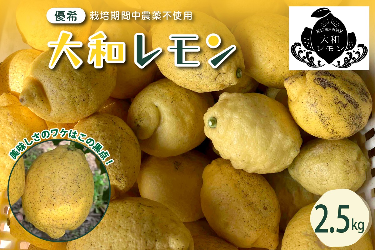 
【先行受付】栽培期間中農薬不使用　大和レモン 2.5kg
