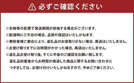熊本県産 デコポン （4玉）・完熟みかん （1.5kg） セット 【2027年1月上旬発送開始】 果物 フルーツ 柑橘 でこぽん みかん 完熟