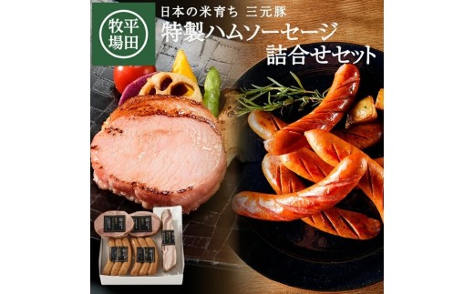 平田牧場 特製ハムソーセージ 詰合せセット CHK23-6 冷蔵便 離島発送不可 ひらぼく お取り寄せグルメ 三元豚 厚切り ボンレスハム 荒挽き ソーセージ フランク プレーン チーズ ベーコン ブロック 国産豚肉 詰め合わせ BBQ おつまみ 酒田市　SC0635
