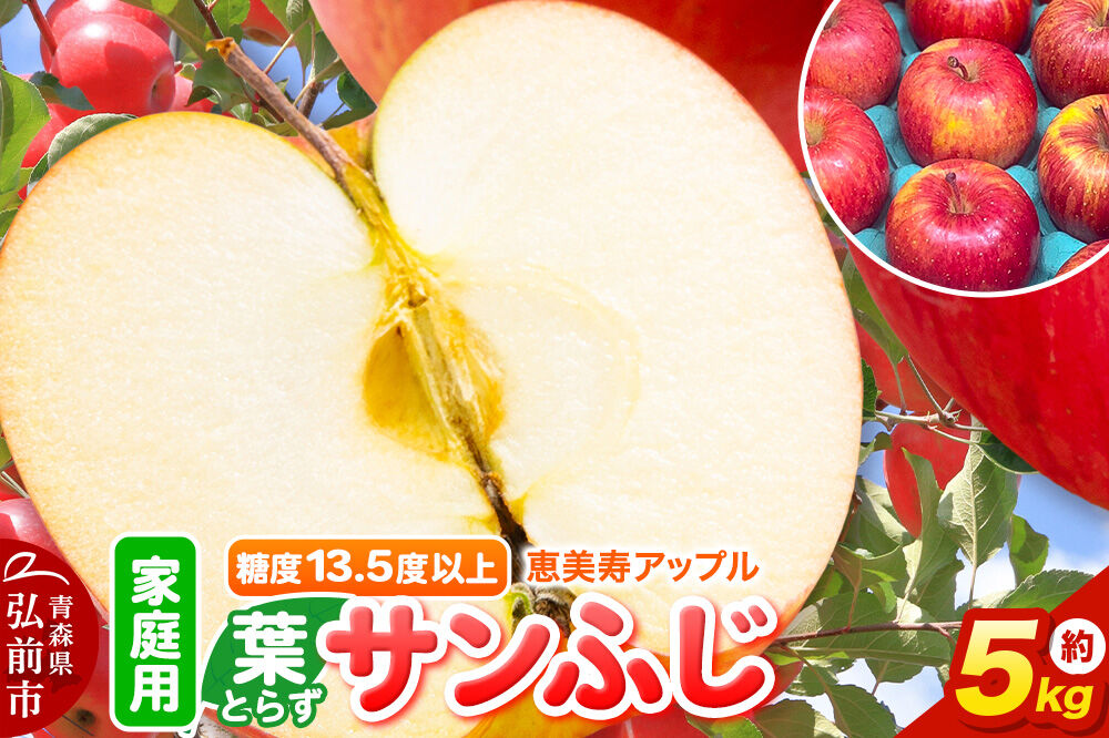 【26年12月発送】りんご 葉とらず サンふじ【家庭用】約5kg 糖度13.5度以上 先行受付 青森県 弘前市 果物 フルーツ 林檎 リンゴ くだもの 不揃い 規格外 [先行予約 産地直送 アップル 