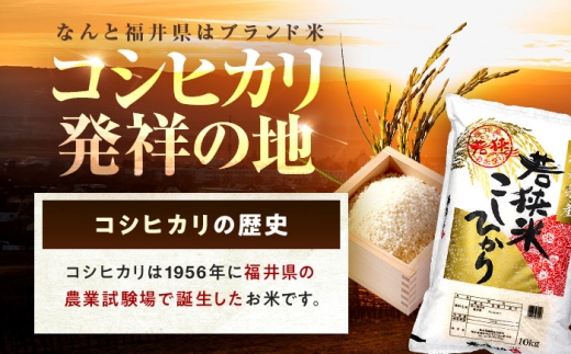 【2回定期便】【福井県産】 1回目：コシヒカリ 白米 10kg 2回目： いちほまれ 白米 10kg 福井県米 / コシヒカリ発祥 ブランド 特A常連 小浜市 / 若狭ふれあい市場 [BFEL052]