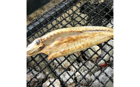 冷凍 焼いてあるひもの 干物 4種 セット  /  ひもの
