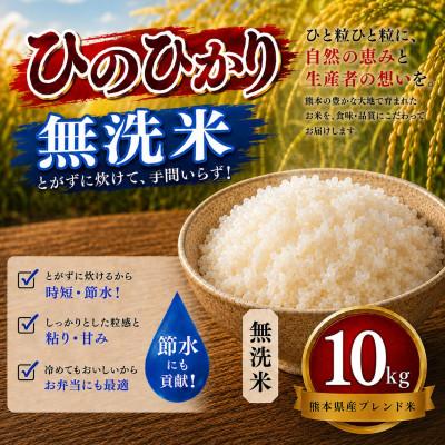 ふるさと納税 玉名市 【毎月定期便】熊本県産 ひのひかり 無洗米 10kg全6回