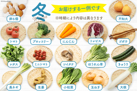CA025 【野菜セット】 野菜 フルーツ 卵 13～14品目 6玉