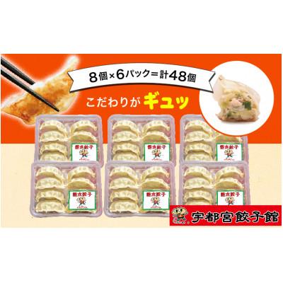 ふるさと納税 宇都宮市 「宇都宮餃子館」の健太餃子 8個入り×6パック(計48個)