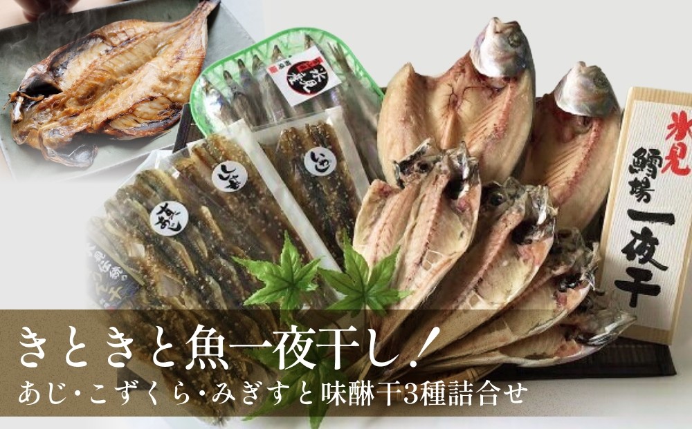 
                  氷見産きときと魚一夜干し！あじ・こずくら・みぎすと味醂干3種詰合せ　〈冷凍〉
                