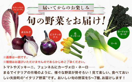 旬のイタリア野菜セット 5～7種《11月下旬-3月中旬頃出荷》