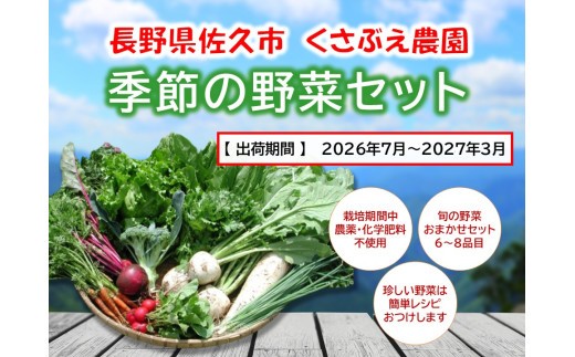 くさぶえ農園『季節の野菜6～8品目セット』（2026年7月～2027年3月出荷／北海道・沖縄・離島は配送不可）高原 無農薬 産地直送 新鮮 旬彩 簡単レシピ 先行予約 【 産直 高原野菜 季節の野菜 旬の野菜 有機野菜 有機栽培 農薬 化学肥料 不使用 佐久市 】