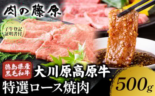 大川原高原牛 特選ロース 焼肉 500g 冷凍便 肉の藤原《30日以内に出荷予定(土日祝除く)》和牛 希少 大川原高原 牛肉 焼肉 ロース 贅沢 バーベキュー BBQ キャンプ ギフト 贈答 徳島県 佐那河内村 st-p