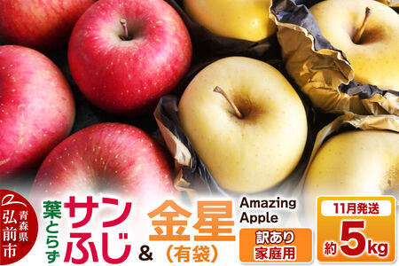 【寄附金額見直しました】【26年11月下旬発送】りんご 葉取らずサンふじ＆金星（有袋）【訳あり】家庭用 約5kg 紅白セット