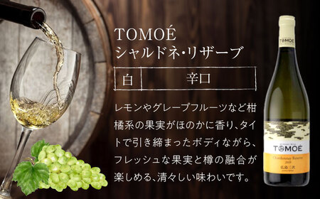 TOMOE 白ワイン 2本セット B シャルドネ リザーブ 辛口 デラウェア ワイン 受賞 飲み比べ ワインセット ギフト 三次市 / 広島三次ワイナリー[APAZ017]