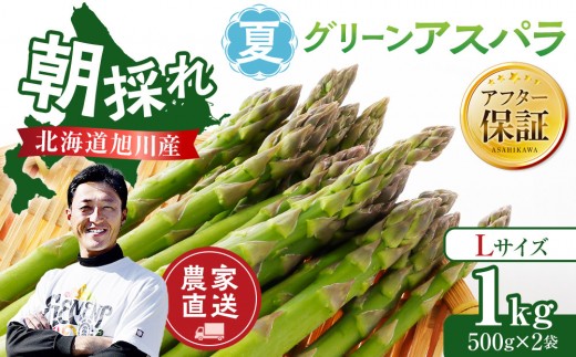 【先行予約】農家直送 朝採れ 夏グリーンアスパラ Lサイズ 1kg(500g×2袋)北海道旭川産(2026年7月中旬発送開始予定)  【野菜 アスパラガス 旬 新鮮 先行予約 アスパラガス あすぱらがす asparagus ASPARAGUS 北海道 旭川市 】_05931