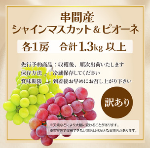 TNBSP-13 ＜先行予約＞ 串間産シャインマスカット1房・ピオーネ（大粒・大房・種なし）1房 計1.3kg以上【谷口農園】