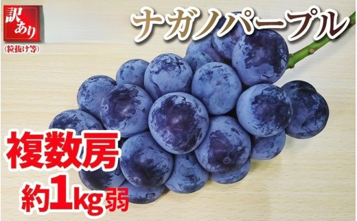 
                  【先行予約】2026　ナガノパープル　【訳あり粒抜け等】　房複数　約1kg弱　長野県産  【10月初旬頃～順次発送予定】国際特許有機肥料栽培
                