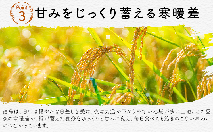 【先行予約】白米 徳島ふるさと応援米 20kg 《2026年11月以降順次出荷》 生活応援企画 米 精米 送料無料 徳島県 佐那河内村 白米 ブレンド米 こめ コメ お米