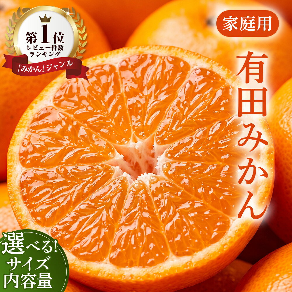 家庭用 完熟有田みかん 8kg+240g 傷み補償分