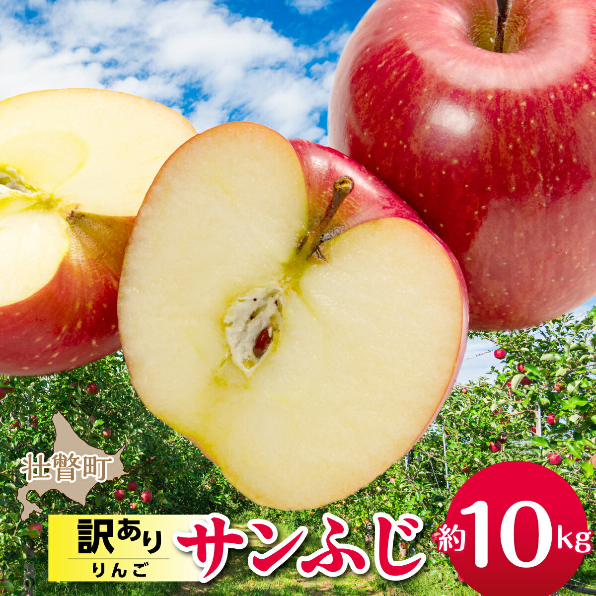 【ふるさと納税】【先行予約】＜2026年12月上旬よりお届け＞北海道壮瞥町　訳ありりんご　品種名「サンふじ」約10kg【 りんご リンゴ 林檎 果物 フルーツ 甘い 爽やか 香り 濃厚 北海道産 壮瞥町 数量限定 】SBTF030