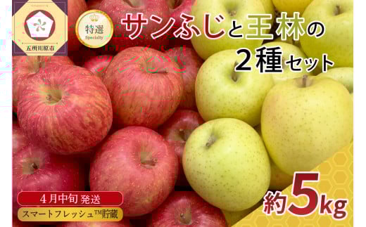 【2026年4月中旬発送】 りんご 5kg 程度 贈答規格（特選） 【選べる配送時期】 サンふじ と 王林 セット スマートフレッシュTM貯蔵 青森県五所川原市 春発送 4月