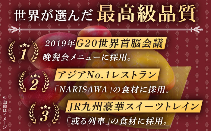 【冷凍】プリンセスマンゴー 約1kg [QAT013] [QAT013]