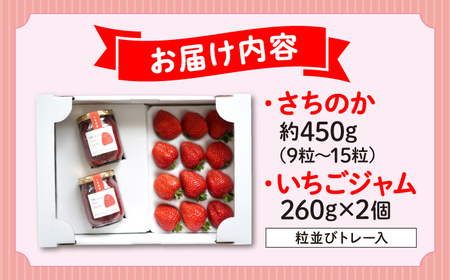 大前農園の完熟いちご＆完熟いちごジャムセット いちご イチゴ ジャム 三次市/大前農園[APAS002]