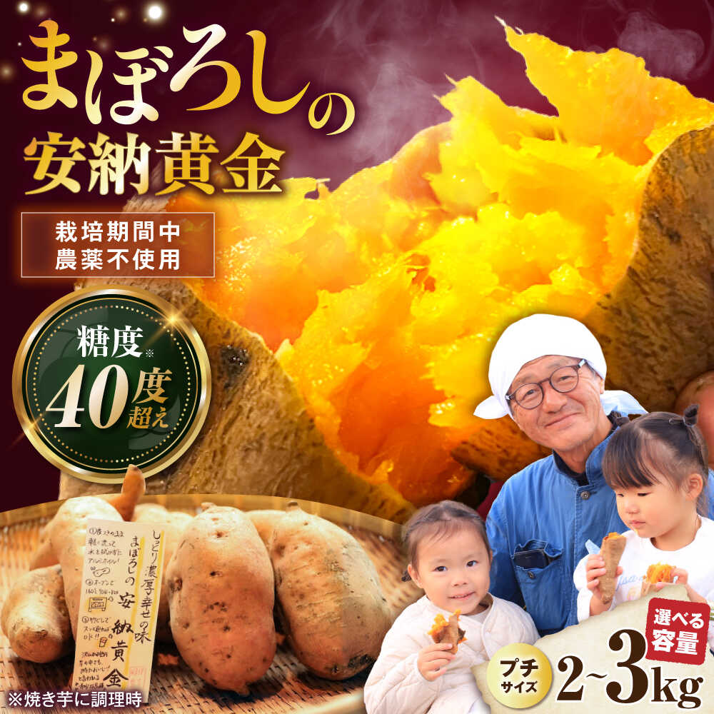 【ふるさと納税】【選べる容量】【熟成】プチサイズ安納黄金 2kg / 3kg 滋賀県長浜市/好作豊吉[AQCF003]