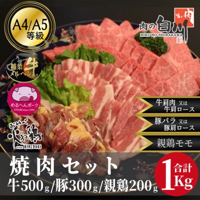 おやべのお肉焼肉セット1kg(和牛カルビ500g・豚300g・親鶏200g)【配送不可地域：離島・北海道・沖縄県・東北・中国・四国・九州】