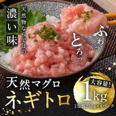 ふるさと納税 越前市 ふわとろネギトロ粗挽き+ネギトロ専用の特選醤油(ミニ)5本セット付き【天然マグロ使用】約1キロ