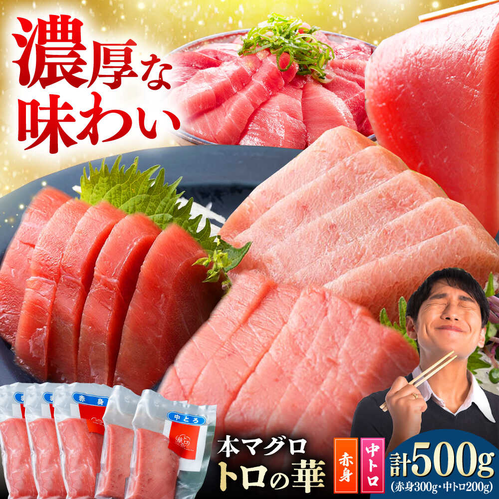 【ふるさと納税】対馬産 本マグロ 500g（赤身300g、中トロ200g） ≪対馬市≫【桐谷商店】 トロの華 対馬 新鮮 マグロ トロ 鮪 刺身 鮮度抜群[WAQ043]