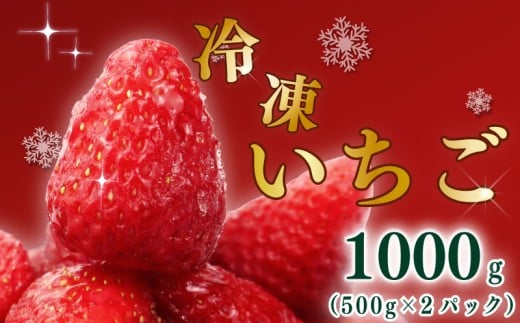 高級 冷凍 いちご ベリーポップすず & 紅ほっぺ MIX 1000g   小分け ギフト 朝採り スイーツ フルーツ  フローズン 氷 果物  上品 大粒 完熟 イチゴ 苺 ストロベリー ベリー 新鮮 国産 2袋 デザート おいしい 贈り物 果物 ストロベリー 甘い 朝摘み おやつ 完熟 直送 ギフト 贈答用 産地直送 国産 おすすめ 静岡 県 牧之原 市 極実屋 KIWAMIYA
