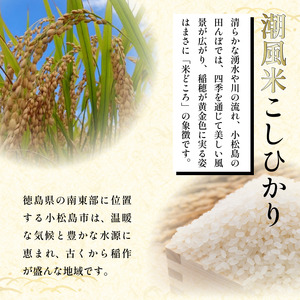 こしひかり 5kg 白米 令和7年産 潮風米 こしひかり 徳島 小松島