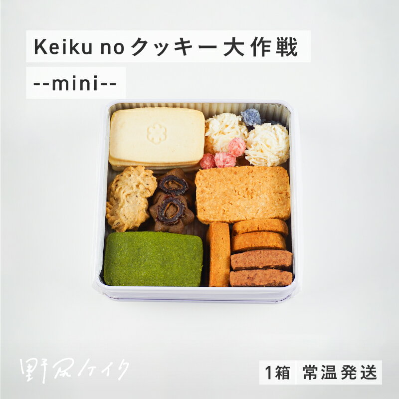 【ふるさと納税】Keiku no クッキー大作戦--mini-- 【野尻ケイク】[B-10805] / クッキー缶 焼菓子 セット 詰め合わせ ビーガン ヴィーガン グルテンフリー 福井県鯖江市