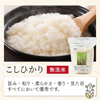 ふるさと納税 坂井市 【令和6年産】無洗米いちほまれ・こしひかり各2kgセット[A-6110] |  | 02
