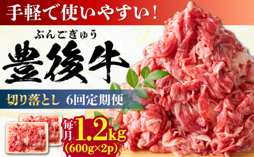 【全6回定期便】【大容量パック！】 おおいた豊後牛 牛肉 切り落とし 1.2kg (600g×2) 日田市 / 株式会社MEAT PLUS 牛肉 おおいた豊後牛 おおいた 豊後牛 黒毛和牛 赤身 薄切り 切り落とし 和牛 [AREI048]