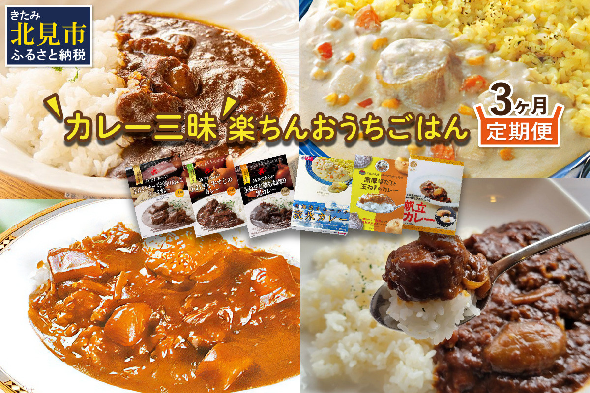 
【3ヶ月定期便】 ＼カレー三昧／楽ちんおうちごはん ( カレー レトルトカレー 定期便 )【999-0112】
