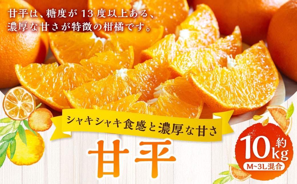
                  【 シャキシャキ食感と濃厚な甘さ 】 甘平 約10kg みかん ミカン くだもの 果物 フルーツ 柑橘 柑橘系 柑橘類 果実 果汁 果肉 国産 愛媛県産 旬 【 2027年1月下旬～3月上旬発送予定 】 ( 1080 )
                