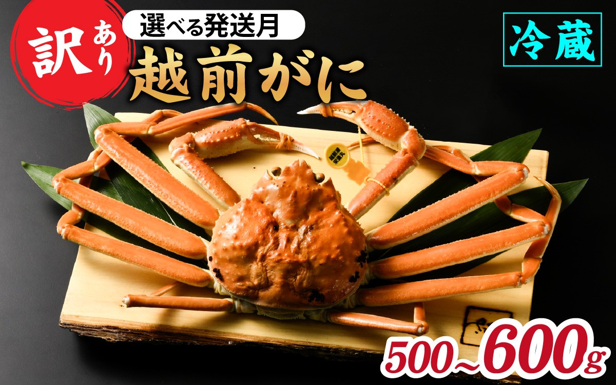 
                  【先行予約】【訳あり】朝茹で越前がに 500g〜600g（足折れ）11月～3月発送「11月中旬より順次発送」[C-065044-oya]  / 福井県 福井 オス 雄 ズワイガニ ボイル 冷蔵 越前ガニ 越前がに 越前カニ ずわいがに ずわい蟹 かに カニ 蟹 茹で すがた 姿 わけあり 訳アリ
                