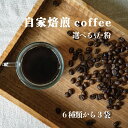 【ふるさと納税】コーヒー 豆・粉 選べる3袋／ 6種類から選べる3袋 内容量 1袋90g／ 自家焙煎 コーヒー 珈琲 コーヒー豆 シングル ブラジル コロンビア グアテマラ浅煎り・深煎り タンザニア浅煎り・中煎り 珈琲豆 ／6000円 送料無料 お取り寄せ