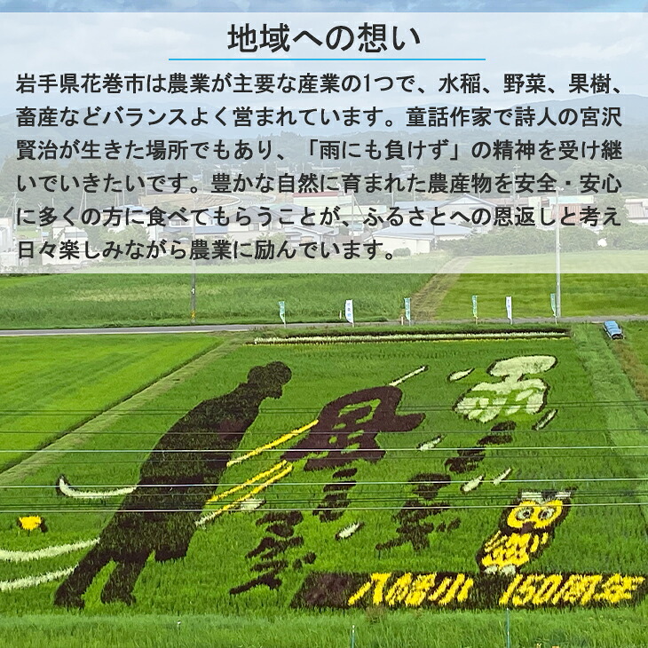 【贈答用】高級りんごはるか・サンふじ詰合せ！花巻産約3kg 【1246】