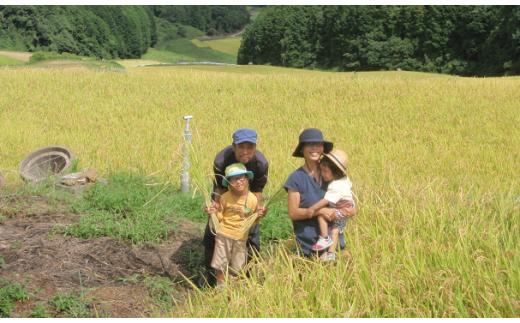 しょうちゃんの棚田米夢しずくは栽培期間中無農薬・化学肥料不使用です